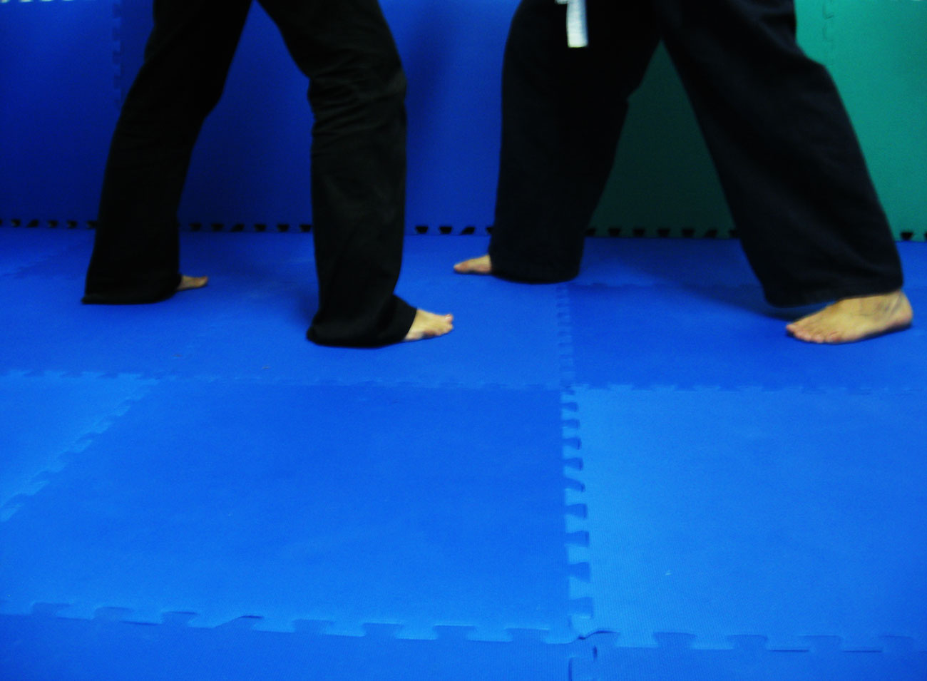 piso para practicar Artes marciales